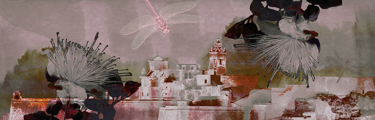 Cittadella Pink Silk Shawl