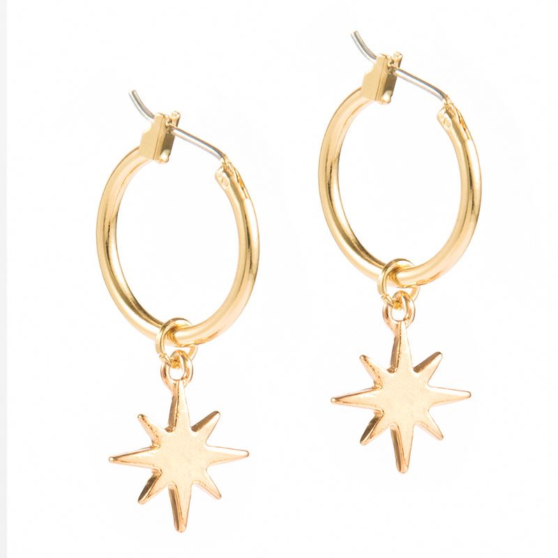 Hoop and star Earrings