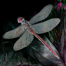 Load image into Gallery viewer, il-Mazzarell fil-Gnien  - Maltese Dragonfly Cushion Cover
